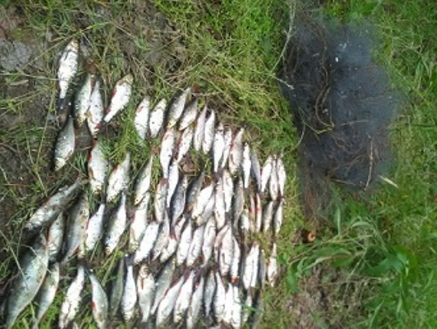 На Харьковщине браконьер наловил мелкой рыбы на штраф в 5,4 тыс. грн