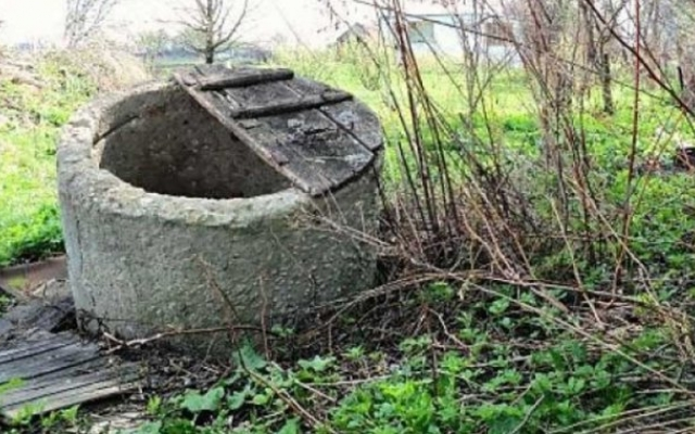 На Харьковщине пострадало двое детей. Один упал в колодец, а второй с дерева