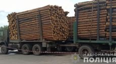 Несколько незаконных грузовиков с древесиной задержаны в Изюмском районе