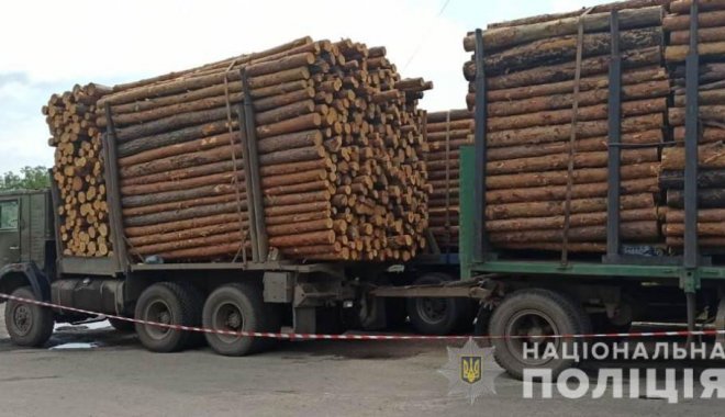 Несколько незаконных грузовиков с древесиной задержаны в Изюмском районе