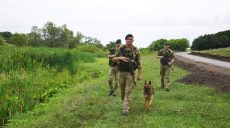 Харьковские пограничники задержали нарушителей