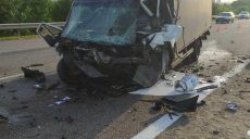 18-летний водитель Mercedes погиб, въехав в грузовик дорожной службы
