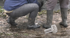 Харківські комунальники просять людей не засмічувати зливні каналізації (відео)