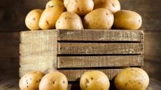 Картошка в Украине не подешевеет