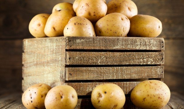 Картошка в Украине не подешевеет