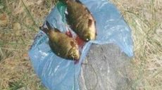 На Харьковщине ловят браконьеров