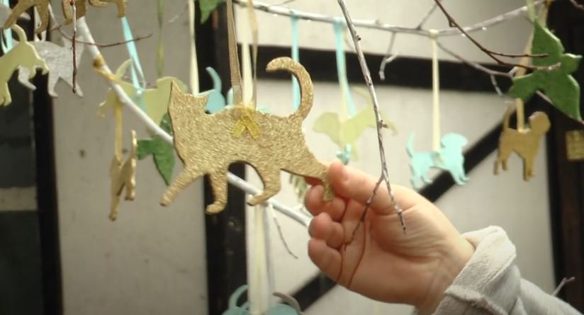 Коти, собаки та птахи: у Харкові є дерево, на якому відображені врятовані тварини (відео)
