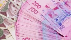 Чиновники обещают погасить долги по соцвыплатам за несколько «банковских дней»