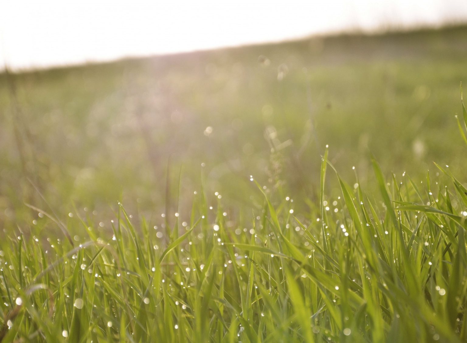 В среду в Харьков придет прохлада