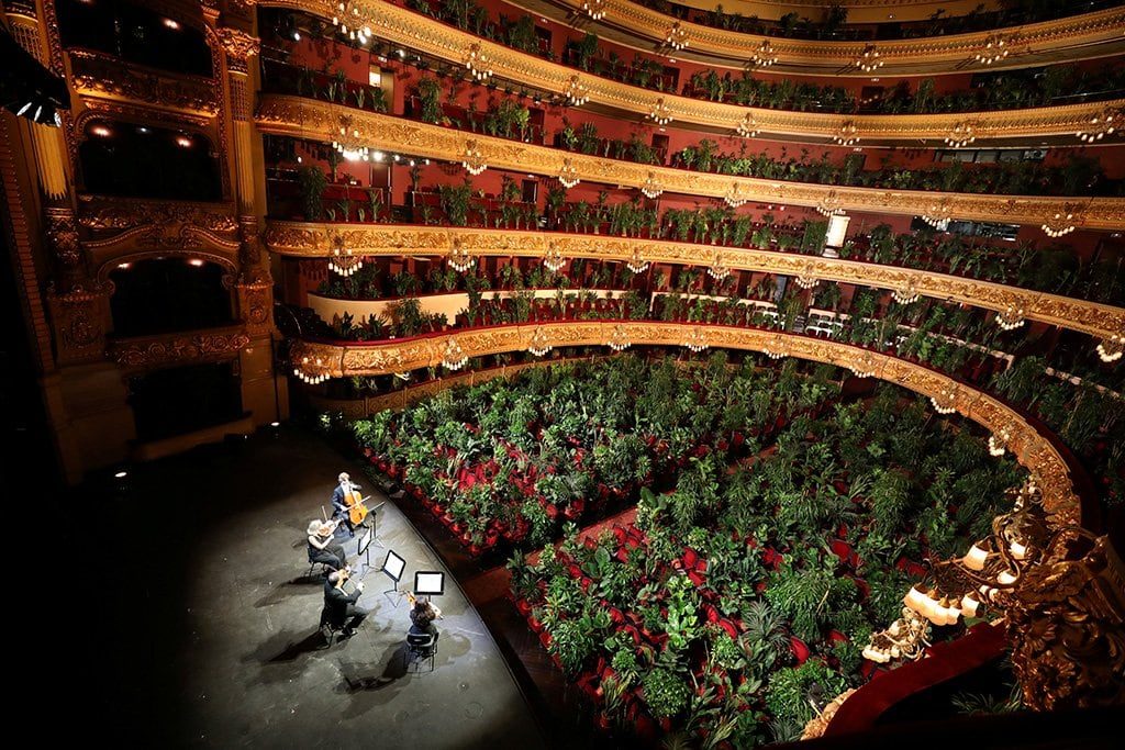 Оперный театр в Барселоне открылся концертом для растений (видео)
