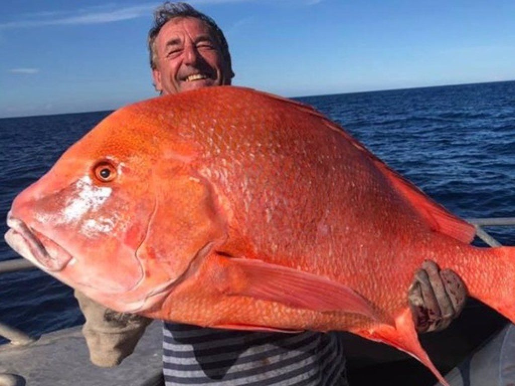 Гигантский улов: неподалеку от Рейнбоу-Бич рыбак вытащил из воды рыбу весом 22 кг (фото)