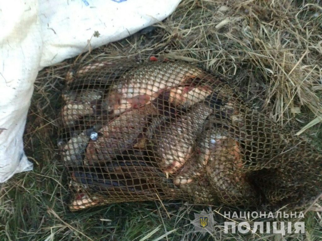 В Харьковском рыбоохранном патруле подсчитали убытки от браконьеров