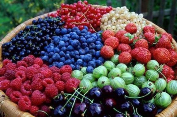 Весенние заморозки станут причиной низкого урожая овощей и ягод, – Укргидрометцентр