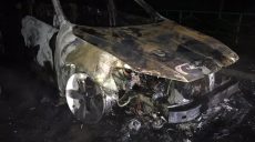 В Харькове ночью сгорела иномарка (фото)
