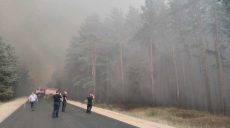 Сумму ущерба после пожаров в Луганской области оценивают в 450 млн гривен