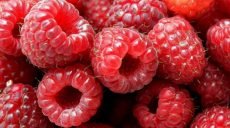 В Украине растут цены на фрукты и ягоды