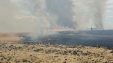 В Балаклейском районе загорелось очередное пшеничное поле (видео)