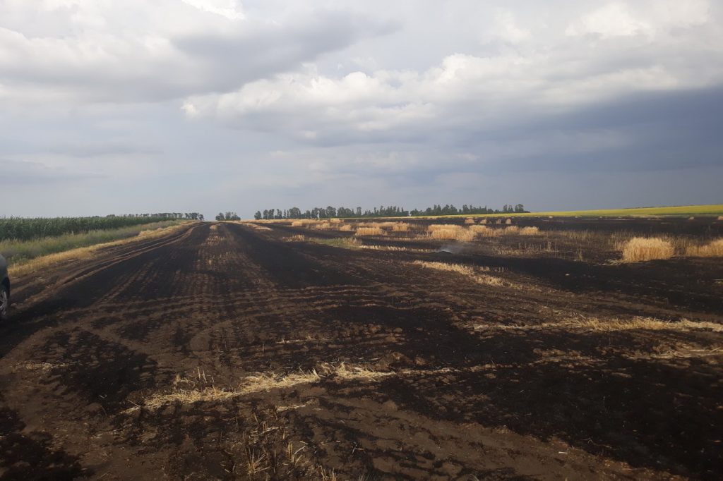 На Харьковщине от пожара пострадало ячменное поле (фото)