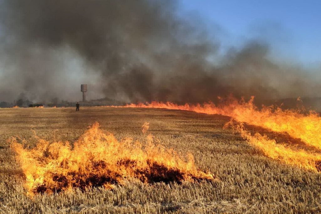 Пшеничные поля на Харьковщине поджигают маленькие дети