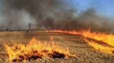 Пшеничные поля на Харьковщине поджигают маленькие дети