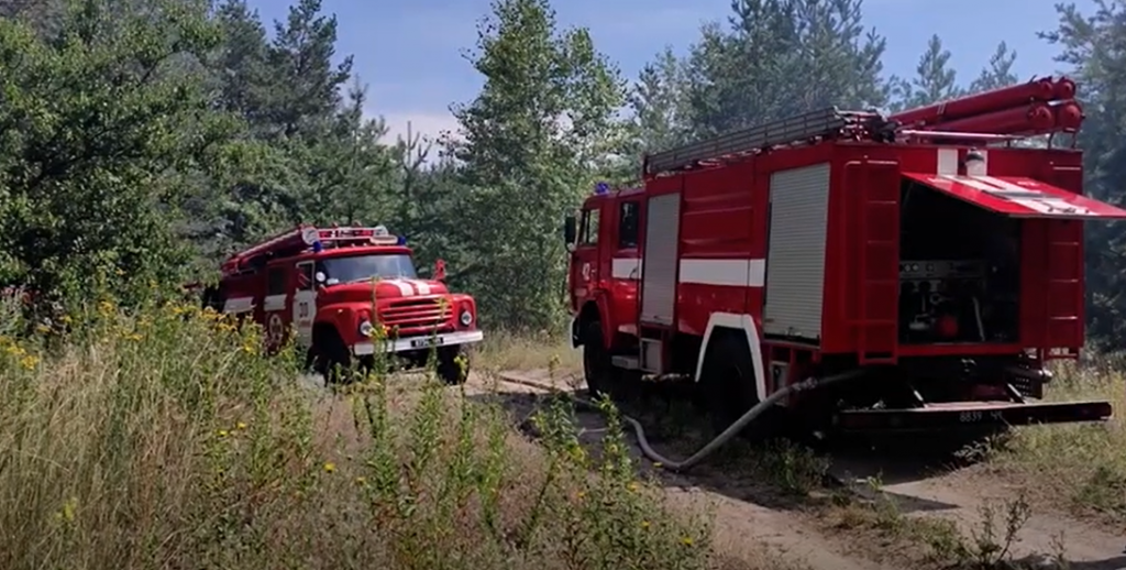 В Балаклейском районе сгорели редкие растения (видео)