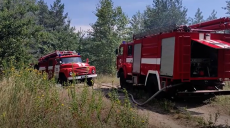 В Балаклейском районе сгорели редкие растения (видео)
