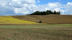 Парламент утвердил в первом чтении Закон о распаевании земли государственных сельхозпредприятий