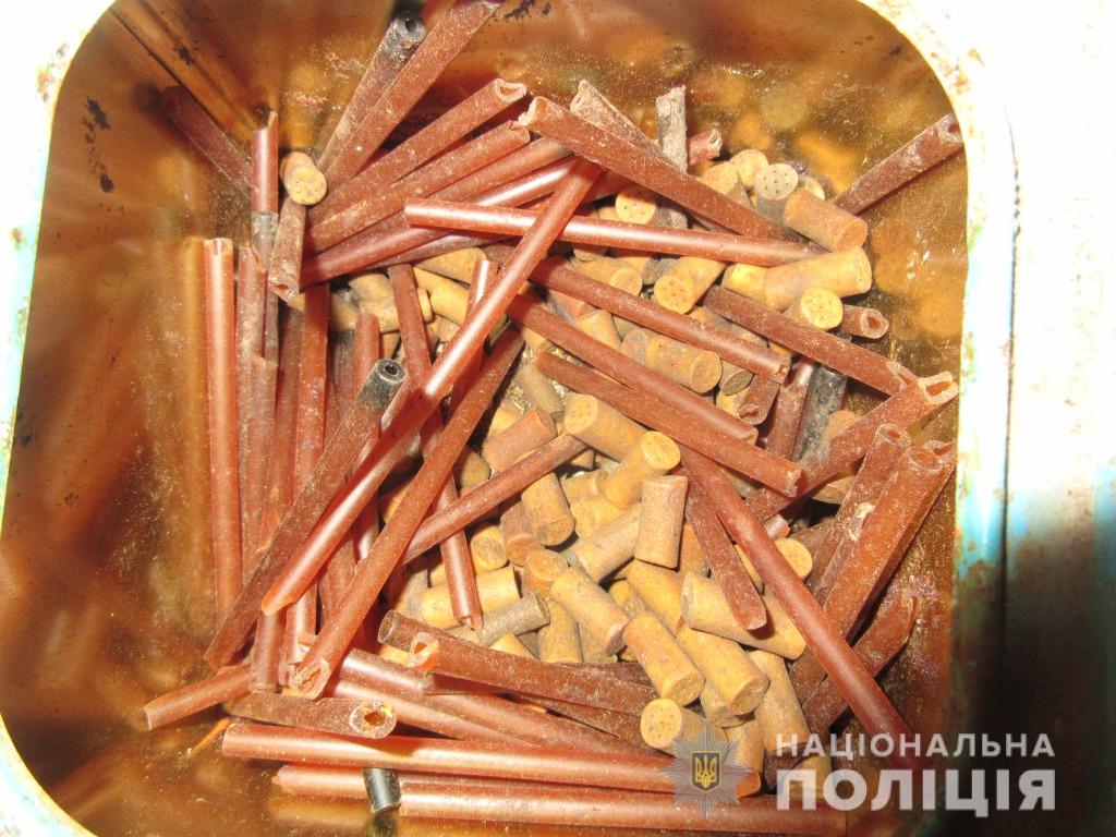 Женщине, которая кинула в полицейских вилы, огласили приговор