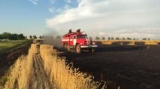 Во время пожара на поле сгорела «Нива»