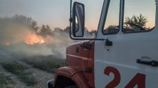 В Лозовой возле кладбища загорелся мусор (фото)