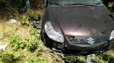 В Харьковской области Suzuki слетел с дороги в кювет — пострадали четыре человека (фото)