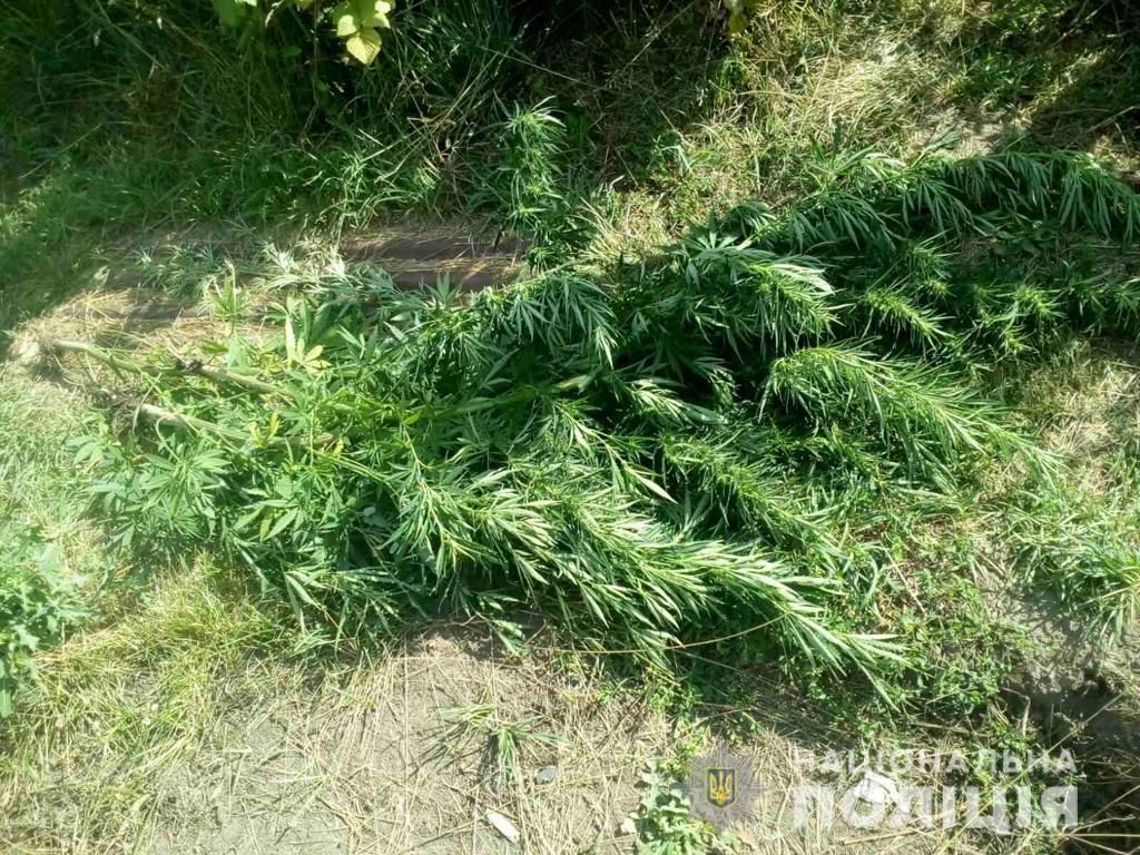 Полиция Харьковщины изъяла у мужчины наркотики и оружие