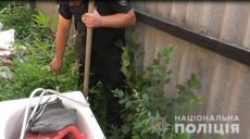 Более 100 кустов конопли изъяли у жителей Харьковщины (фото)