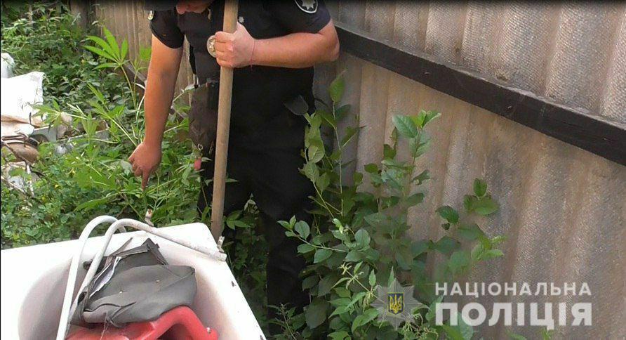 Более 100 кустов конопли изъяли у жителей Харьковщины (фото)
