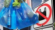 Минприроды поддерживает запрет бесплатных пластиковых пакетов