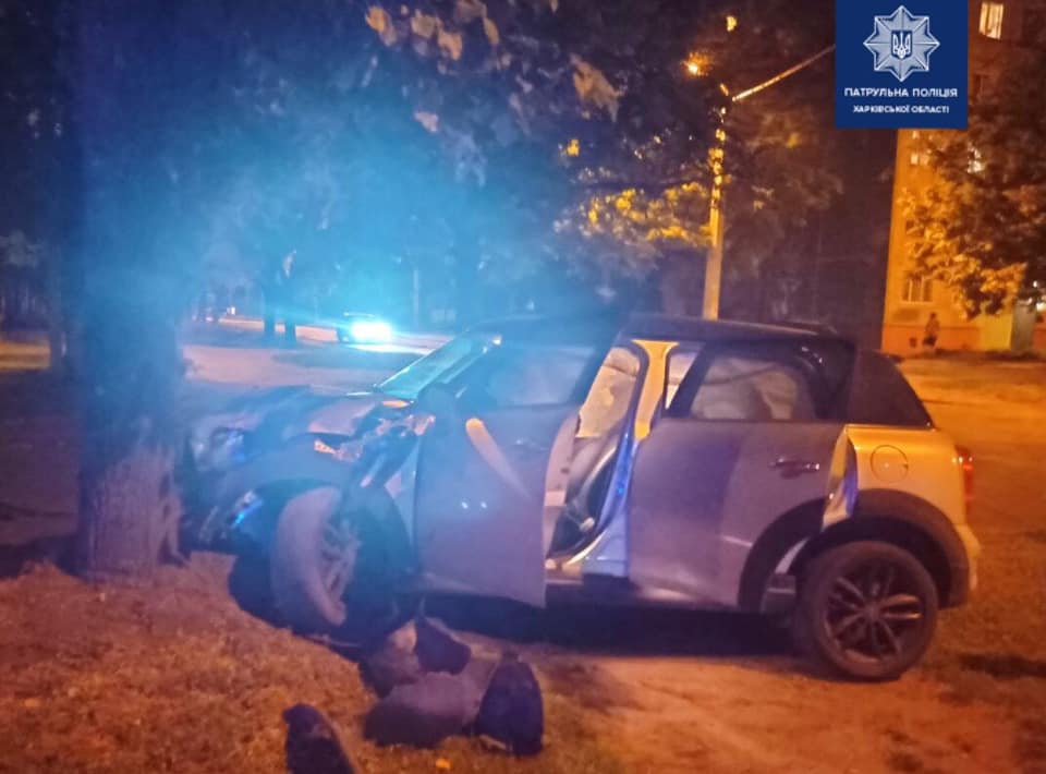 В Харькове водитель, уходя от лобового столкновения, врезался в дерево (фото)