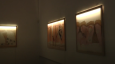 Художній текстиль та графічний дизайн: у Харкові відкрили виставку Nudе (відео)