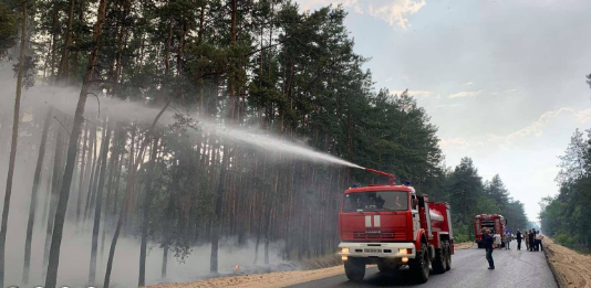 В Луганской области из-за обстрела загорелся молодой лес (фото)