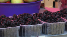 Харківські продавці розповіли, які фрукти можуть незабаром подешевшати (відео)
