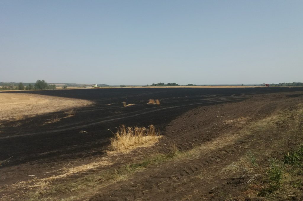 Полиция открыла уголовное производство по факту уничтожения посевов на Харьковщине