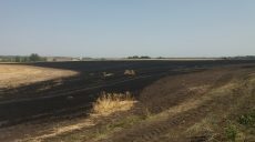 Полиция открыла уголовное производство по факту уничтожения посевов на Харьковщине