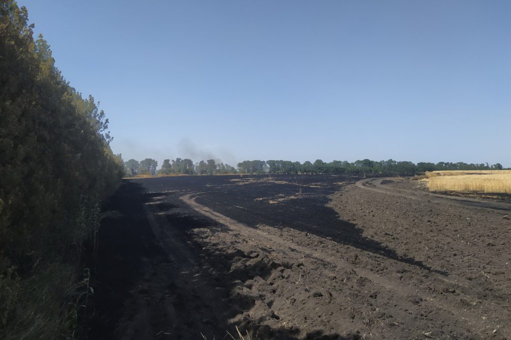 Спасатели Харьковщины потушили пожар еще на одном поле (фото)