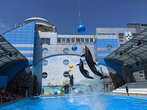 В Харькове детей погибших бойцов покатали дельфины (фото)