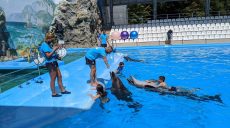 Унікальна терапія: у Харкові вперше дельфіни покатали дітей загиблих військових (відео)