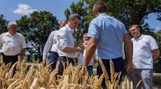 На Харьковщине стартовал сбор урожая ранних зерновых