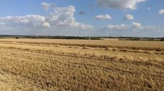 В Сахновщинском районе собрали 63% ранних зерновых