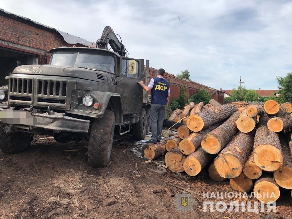 Полицейские расследуют случай преступной вырубки леса на Харьковщине (фото)