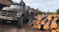 Полицейские расследуют случай преступной вырубки леса на Харьковщине (фото)