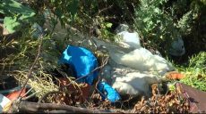 Ссора из-за мусора возле домов: житель Дергачей более 10 лет борется с соседями (фото)