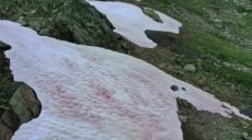 Розовый снег: ледники в Италии изменили цвет